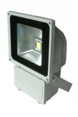 BAILEY 90500032403  LED Floodlight Grey 100-240V 100W 6500K  EAN: 8714681324035   Op bestelling, geen terugname