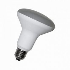 BAILEY 80101038199  Laes LED R80 E27 12W 3000K  EAN: 8421389983586   Op bestelling, geen terugname