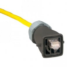 LEGRAND 53300  STEKKER RJ45  EAN: 3245060533007   Op bestelling, geen terugname