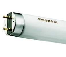 SYLVANIA 0001520  LUXLINE PLUS TL T8 38W 840 4000K 1047mm  EAN: 0000000000000   Op bestelling, geen terugname