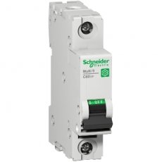 Schneider Distribution M9F21101  MULTI9 C60SP 1PB 1A 10KA 277V UL1077  EAN: 3606481167668   Op bestelling, geen terugname