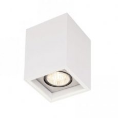 PSM LIGHTING 1701.ES50.14115  BETAPLUS alu satijn/metaalgrijs/inox 316  EAN: 5400853080672   Op bestelling, geen terugname